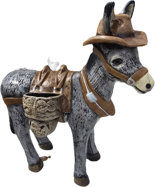 Small Donkey with Hat