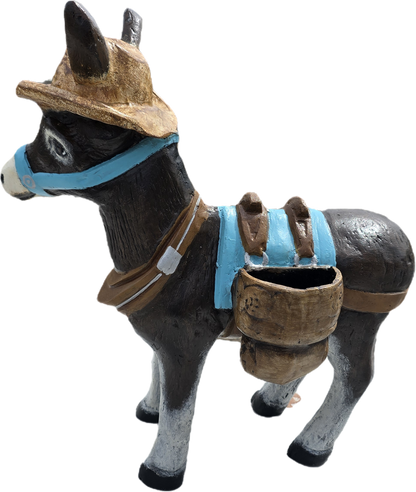 Small Donkey with Hat
