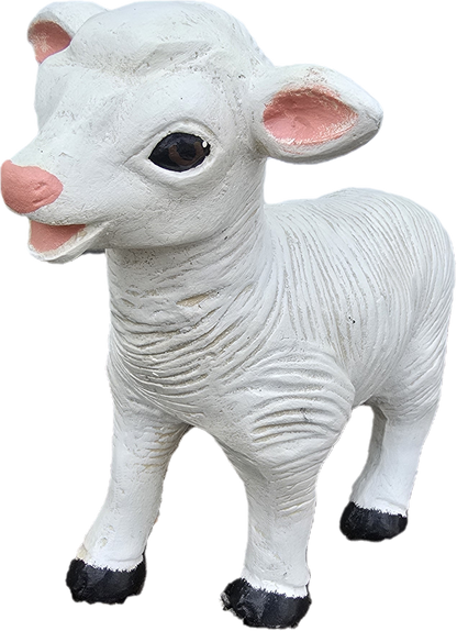 Baby Lamb - Backyard Buddies