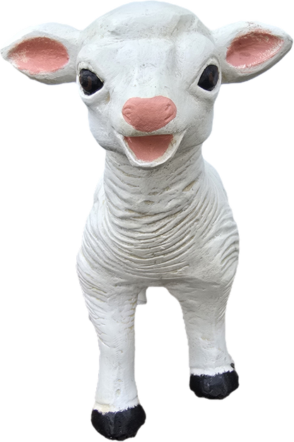 Baby Lamb - Backyard Buddies