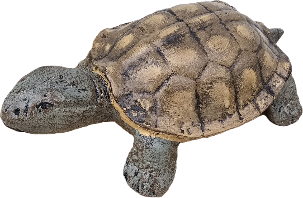 Turtle 11" - Backyard Buddies