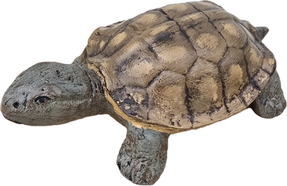 Turtle 11" - Backyard Buddies