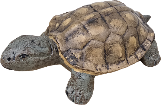 Turtle 11"