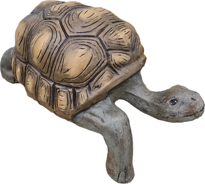 Turtle 21"