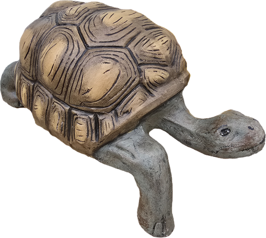 Turtle 21"