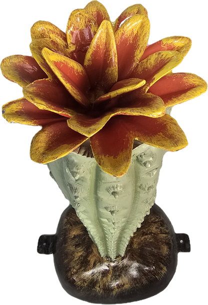 Cactus with Flower