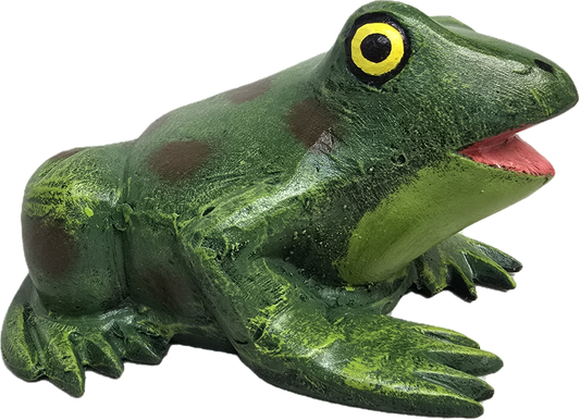 Sitting Frog