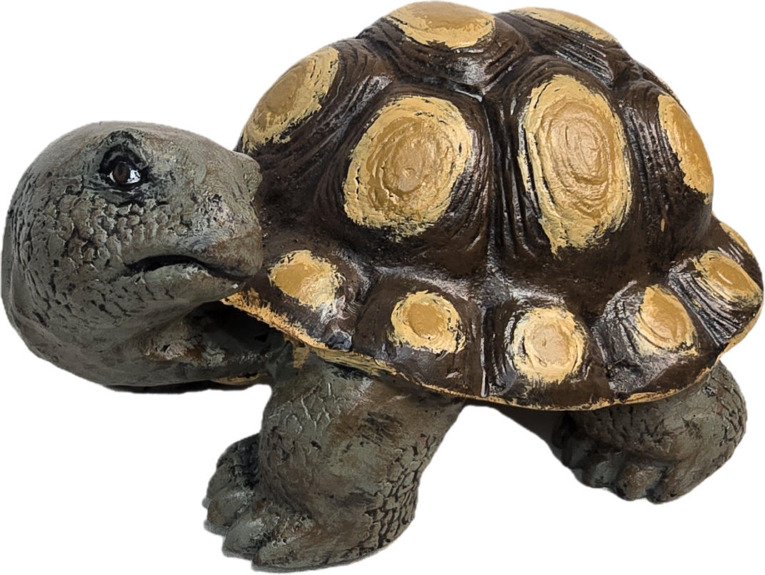 Turtle with Bumpy Shell 19" - Backyard Buddies