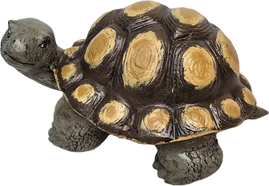 Turtle with Bumpy Shell 19"