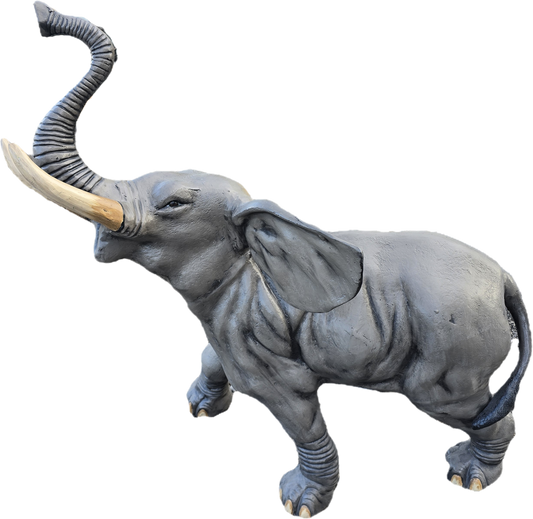 Baby Elephant 3'