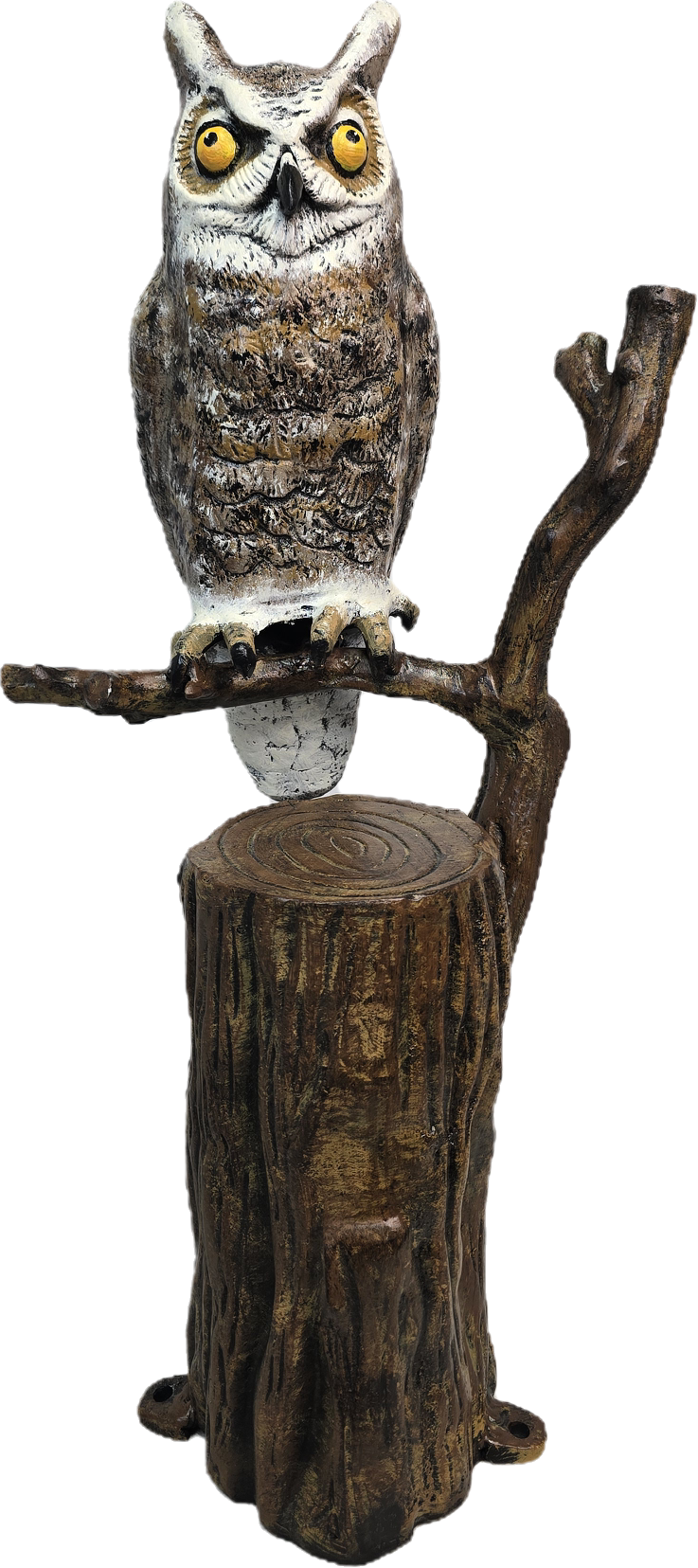 Owl on Tree Branch