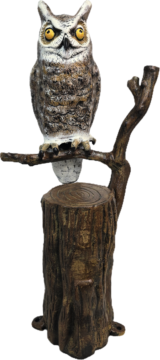 Owl on Tree Branch