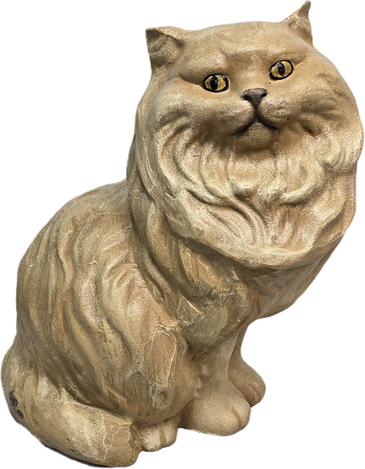 Persian Cat Baby