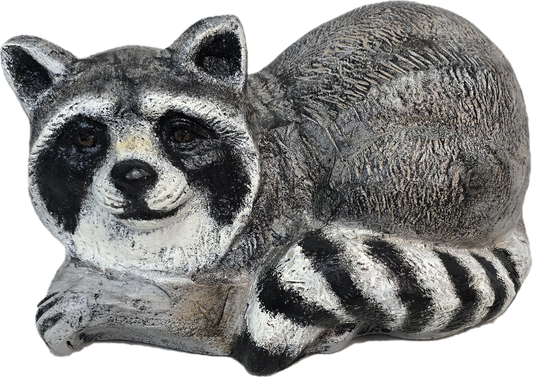 Raccoon
