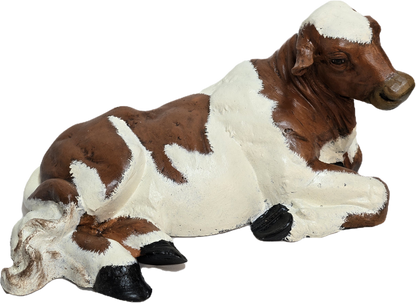 Small Laying Down Calf No Horns