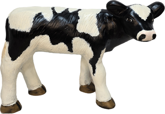 Calf with Turned Head