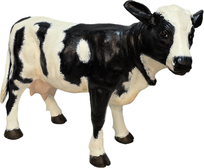 Little Cow No Horns