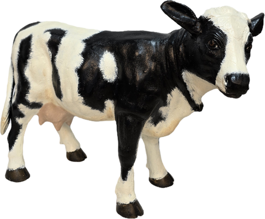 Little Cow No Horns