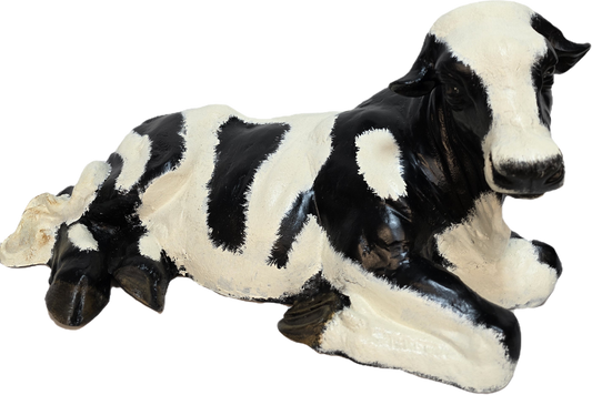 Small Laying Down Calf No Horns