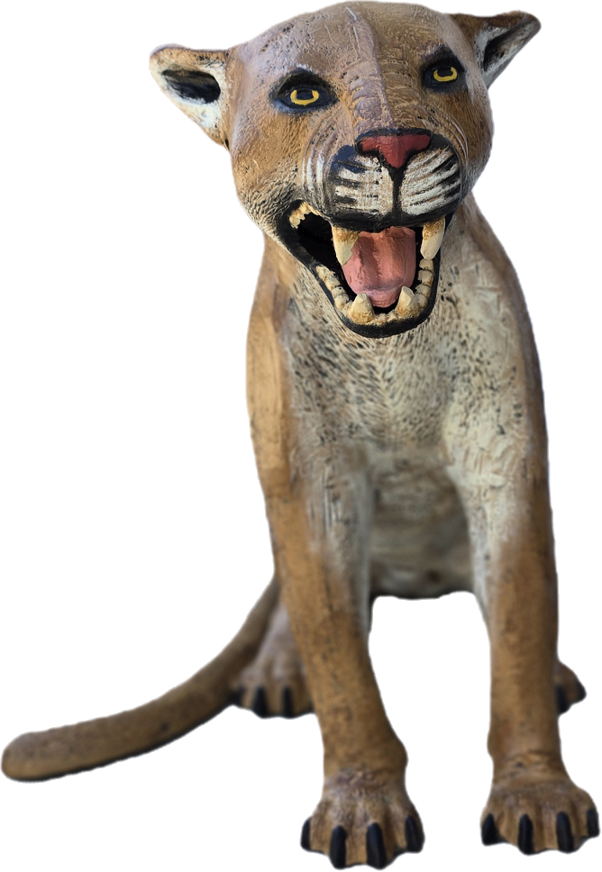 Cougar Sitting - Backyard Buddies