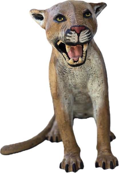 Cougar Sitting - Backyard Buddies