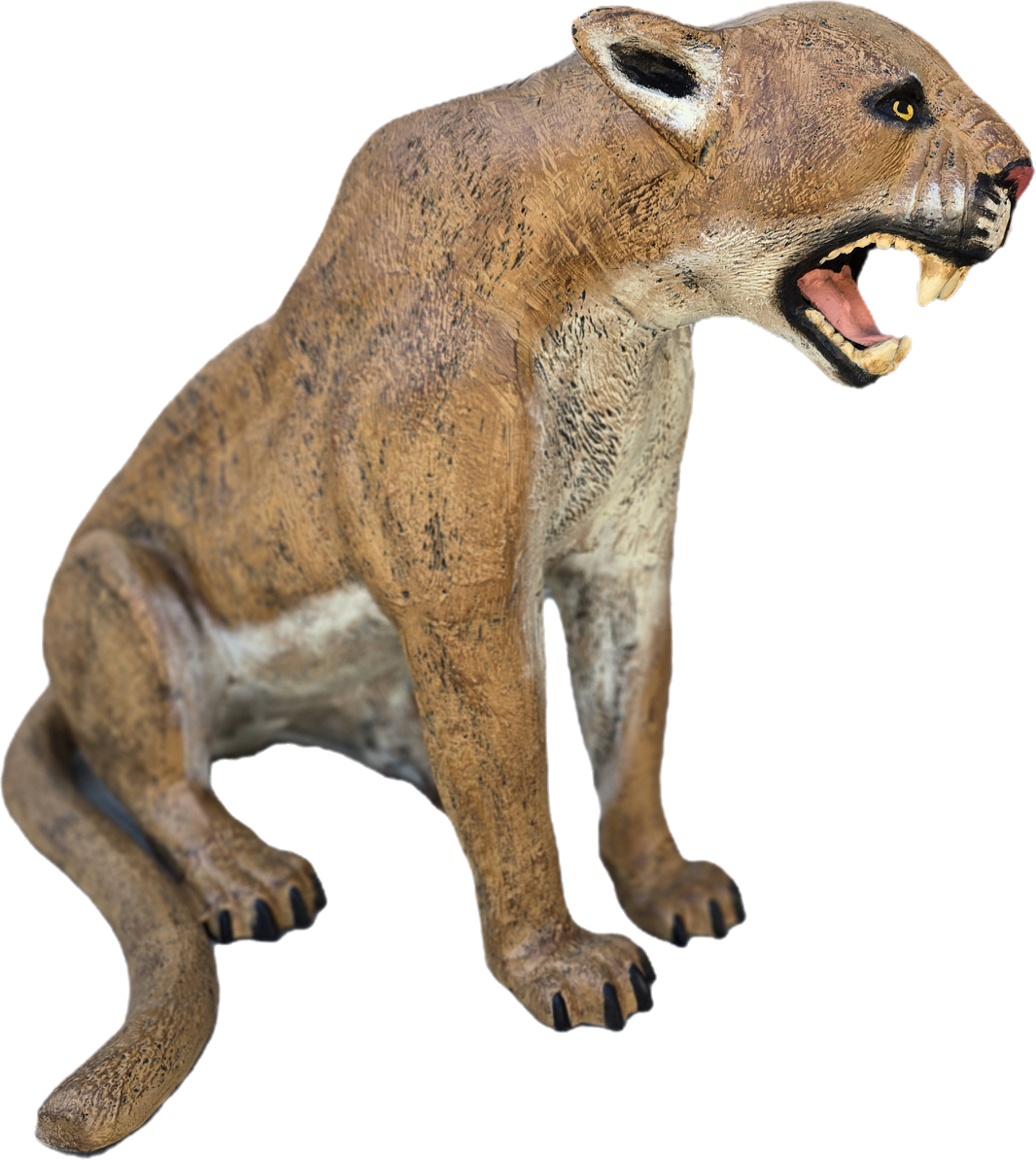 Cougar Sitting - Backyard Buddies