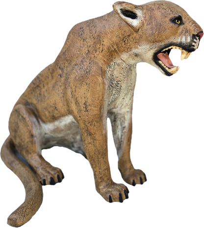 Cougar Sitting - Backyard Buddies