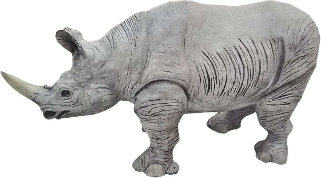 Rhino - Backyard Buddies