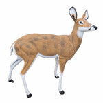 Large Deer Doe