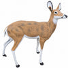 Large Deer Doe
