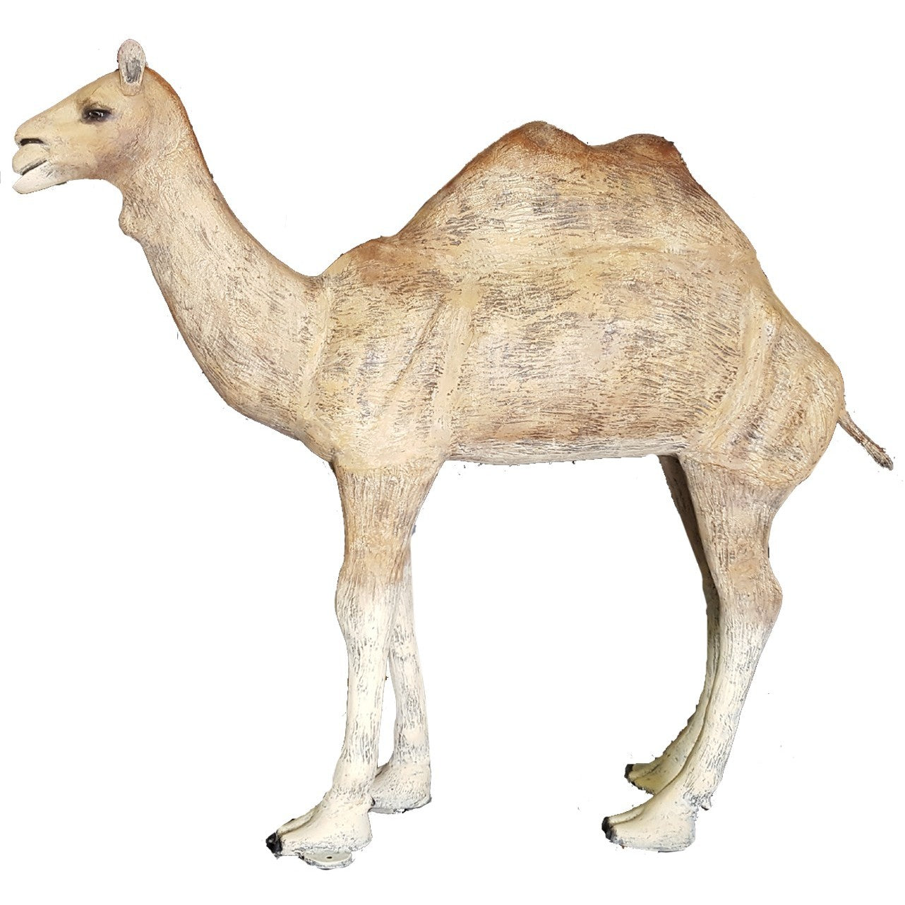 Two Hump Camel