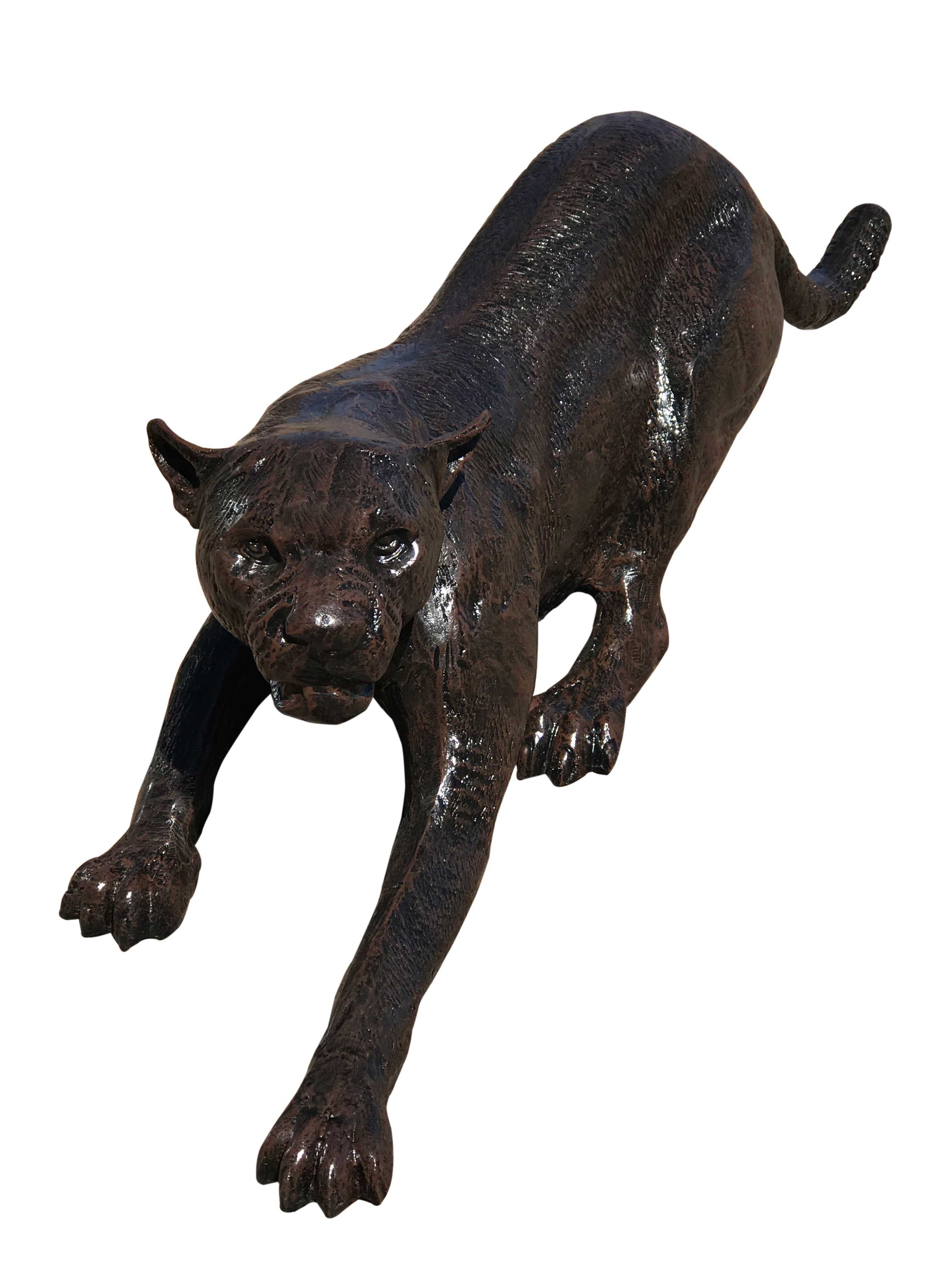 Cougar - Backyard Buddies