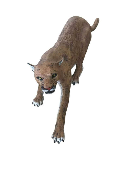 Cougar - Backyard Buddies