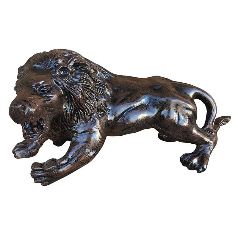 Tiny Lion - Backyard Buddies