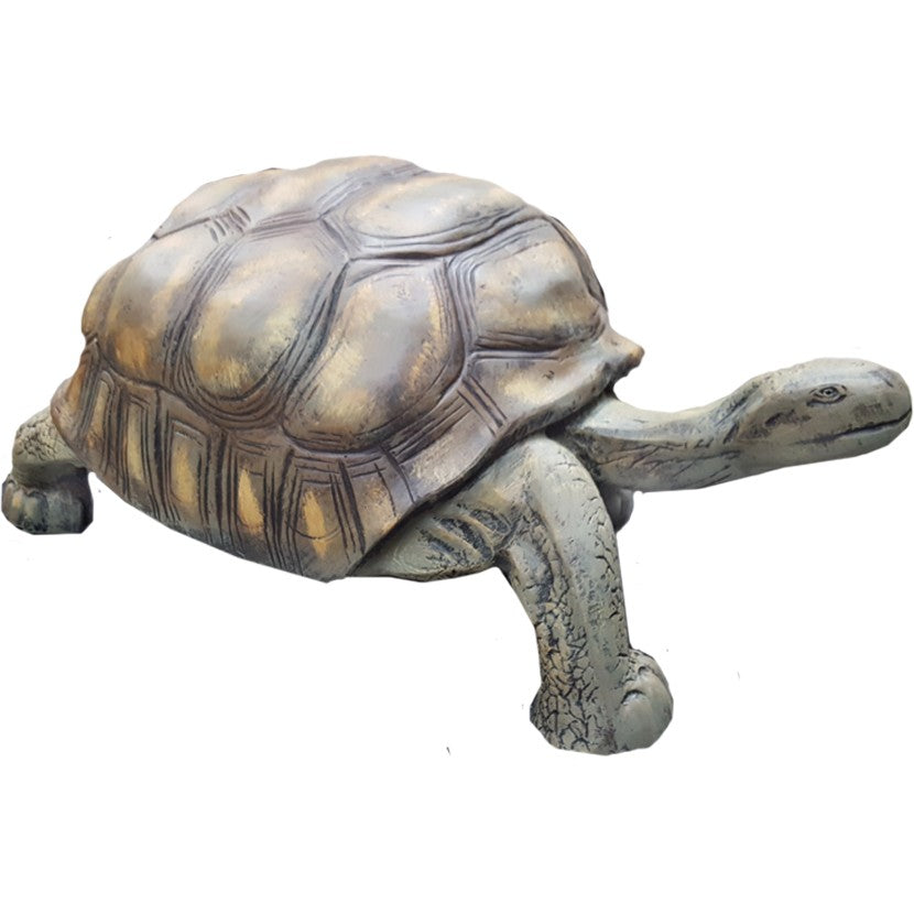 Turtle 36"