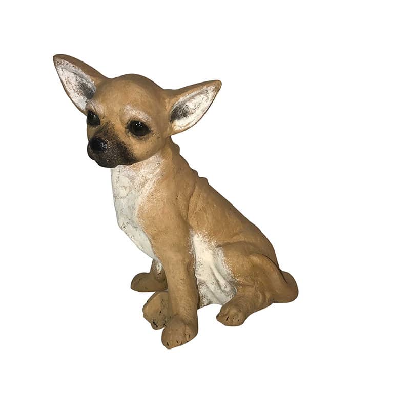 Small Sitting Chihuahua