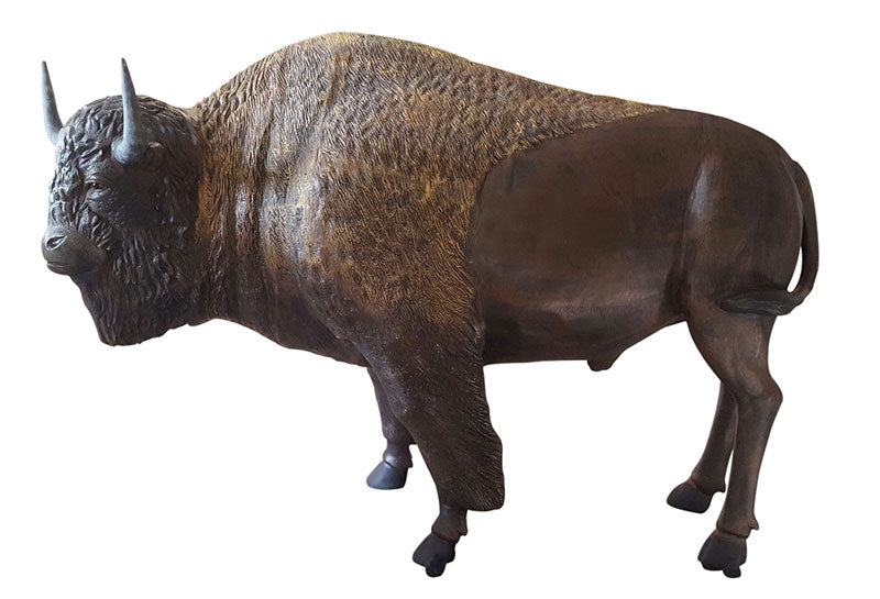 Large Buffalo (Natural Color)