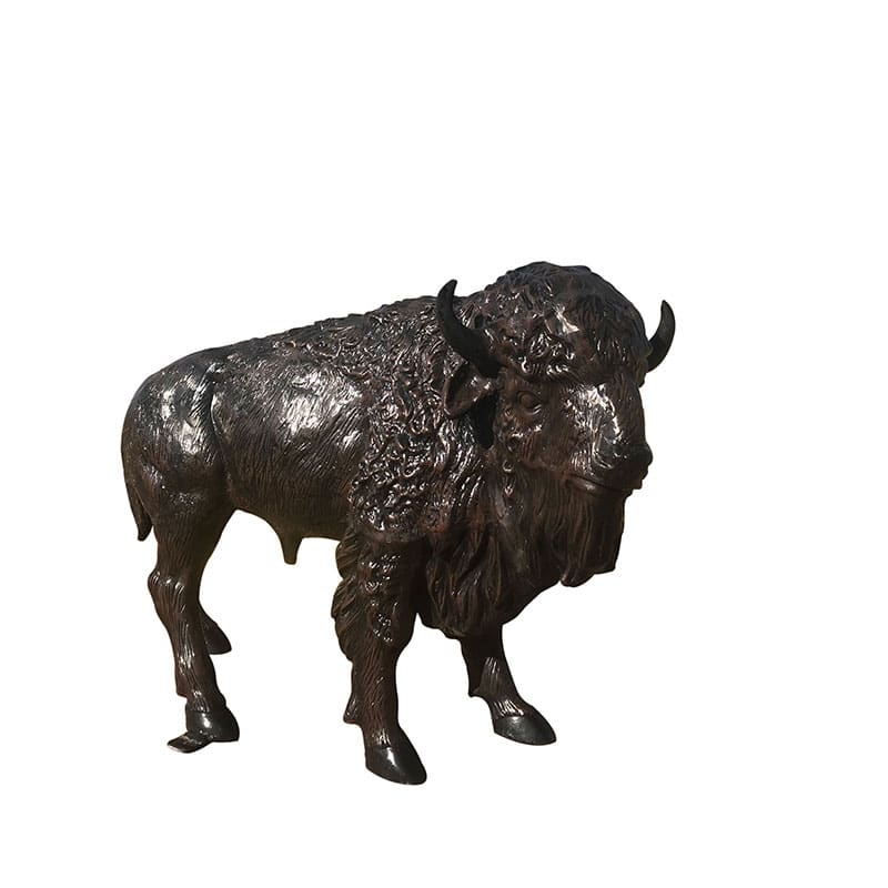 Small Buffalo