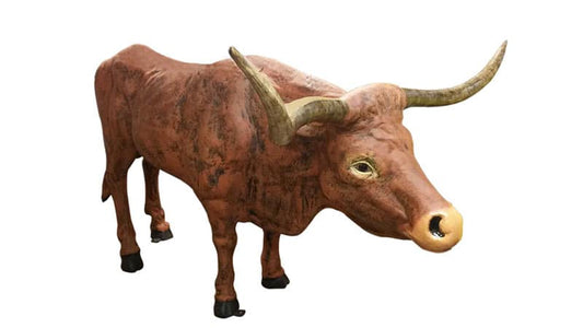 Texas Long Horn (Natural Color)