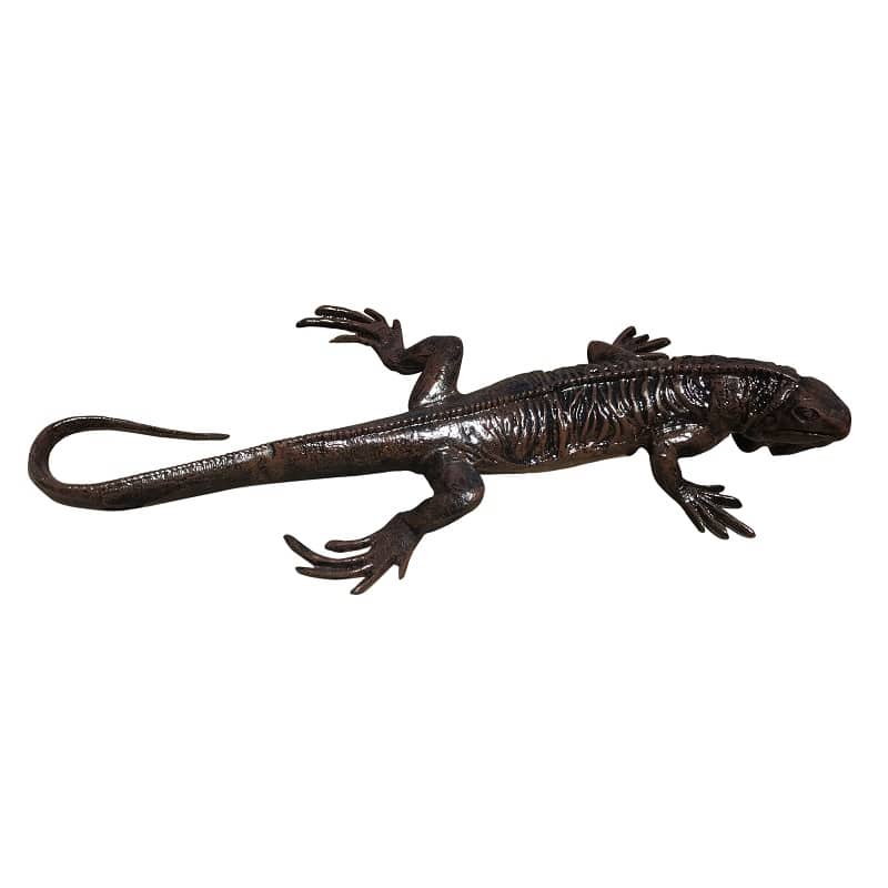 Lizard 25"