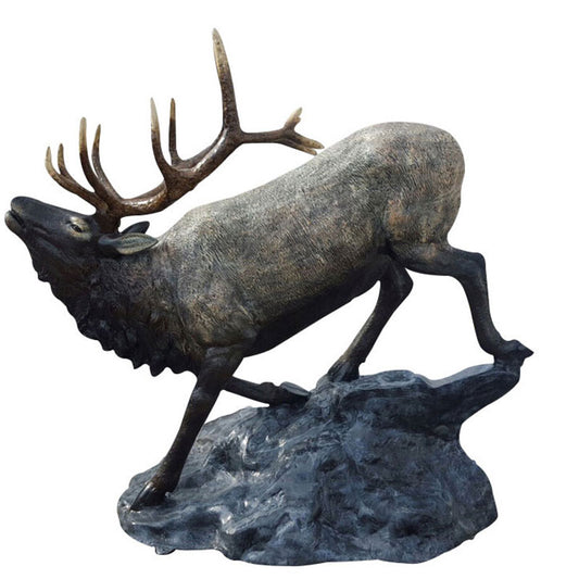 Medium Elk on Rock Down Hill (Natural Color)