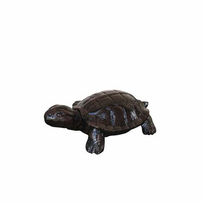 Tiny Turtle