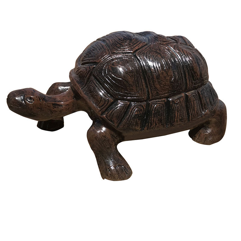 Turtle 21"