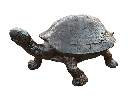 Turtle 43"