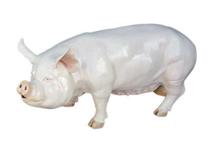 Mama Pot Bellied Pig - Backyard Buddies