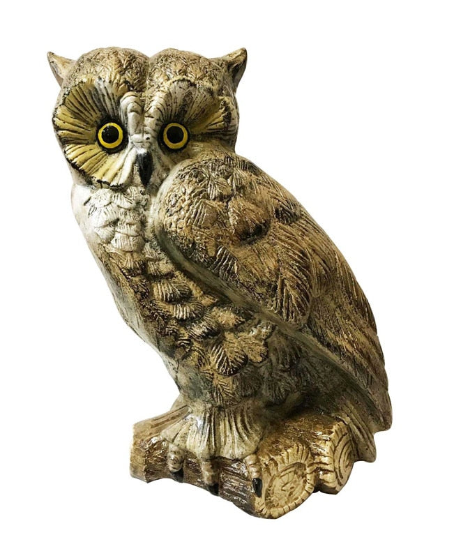 Owl