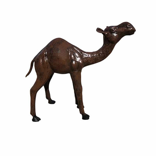 Mini Camel