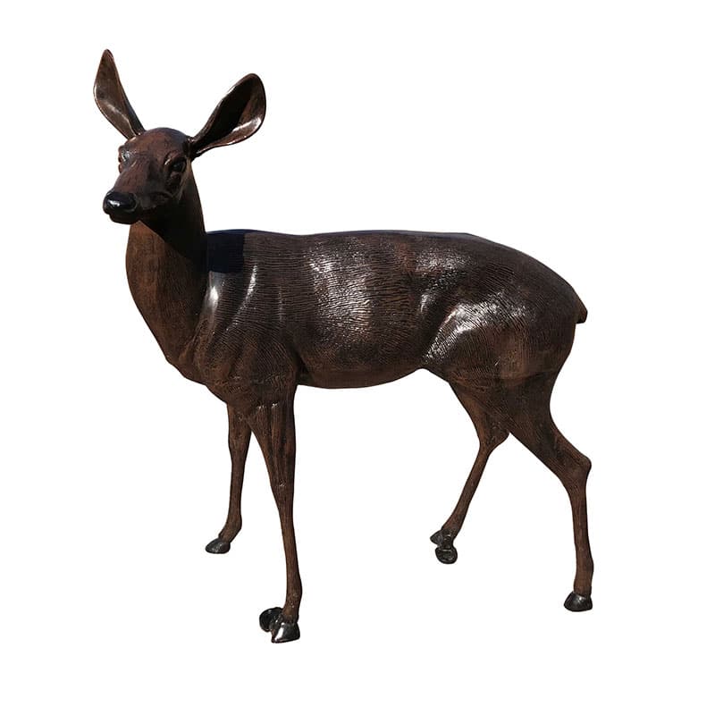 Large Deer Doe