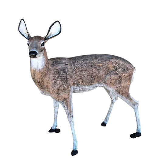 Large Deer Doe