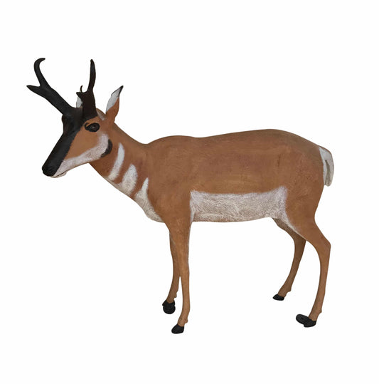 Antelope Buck